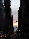 NY (334)